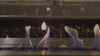 The XL Series Flame in Detai video